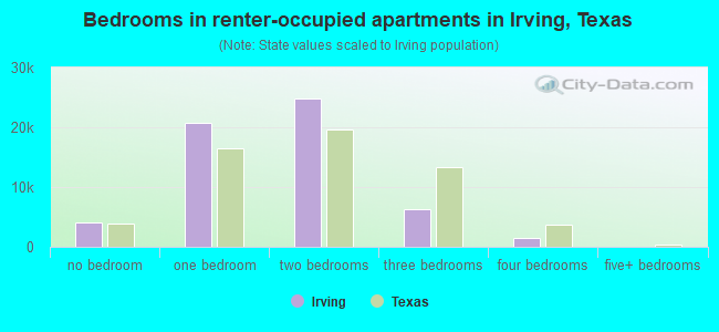 Bedrooms in renter-occupied apartments in Irving, Texas