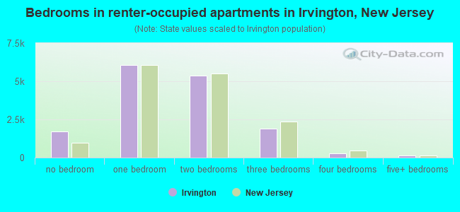Bedrooms in renter-occupied apartments in Irvington, New Jersey