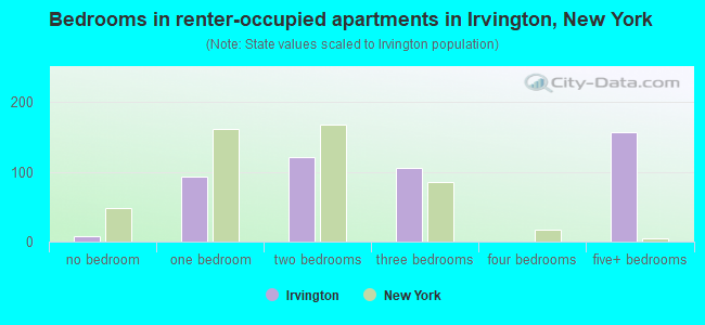 Bedrooms in renter-occupied apartments in Irvington, New York