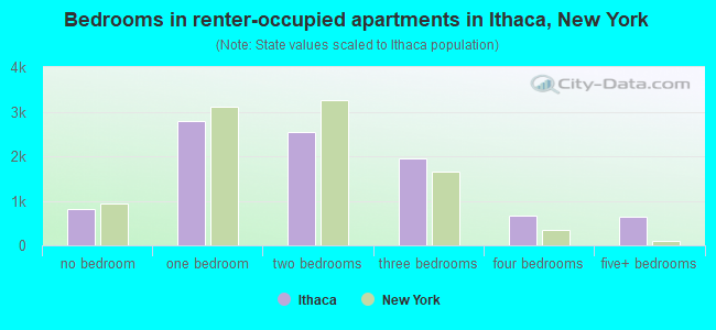 Bedrooms in renter-occupied apartments in Ithaca, New York
