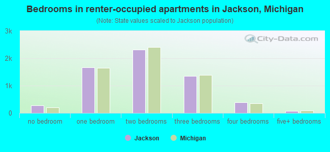 Bedrooms in renter-occupied apartments in Jackson, Michigan