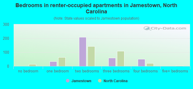 Bedrooms in renter-occupied apartments in Jamestown, North Carolina