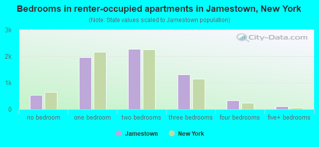 Bedrooms in renter-occupied apartments in Jamestown, New York