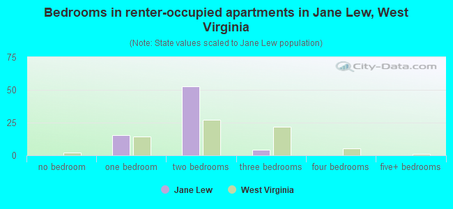 Bedrooms in renter-occupied apartments in Jane Lew, West Virginia
