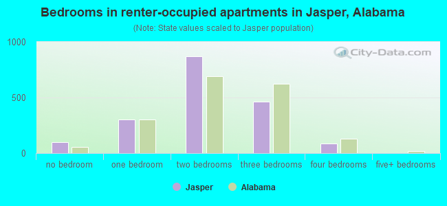Bedrooms in renter-occupied apartments in Jasper, Alabama