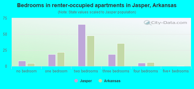 Bedrooms in renter-occupied apartments in Jasper, Arkansas