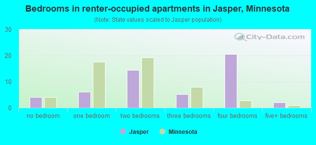 Bedrooms in renter-occupied apartments in Jasper, Minnesota