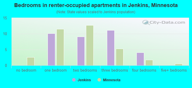 Bedrooms in renter-occupied apartments in Jenkins, Minnesota