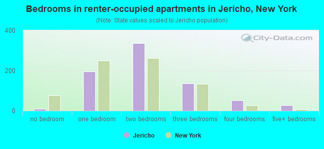 Bedrooms in renter-occupied apartments in Jericho, New York