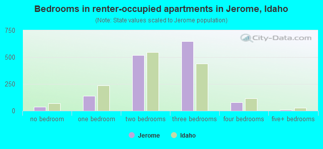 Bedrooms in renter-occupied apartments in Jerome, Idaho