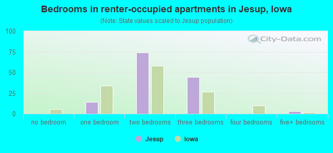 Bedrooms in renter-occupied apartments in Jesup, Iowa