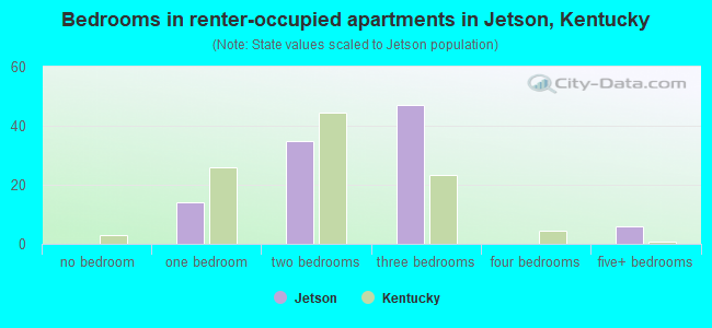 Bedrooms in renter-occupied apartments in Jetson, Kentucky