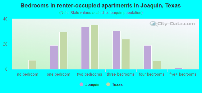 Bedrooms in renter-occupied apartments in Joaquin, Texas