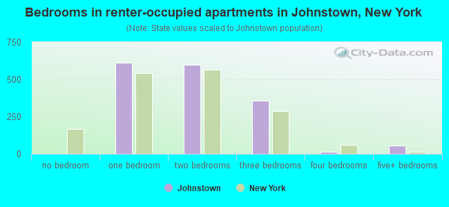 Bedrooms in renter-occupied apartments in Johnstown, New York