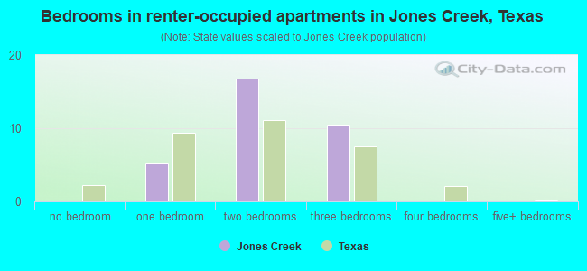 Bedrooms in renter-occupied apartments in Jones Creek, Texas