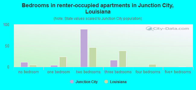 Bedrooms in renter-occupied apartments in Junction City, Louisiana