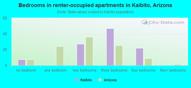 Bedrooms in renter-occupied apartments in Kaibito, Arizona