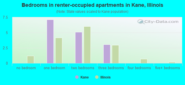 Bedrooms in renter-occupied apartments in Kane, Illinois