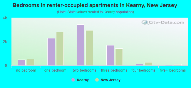 Bedrooms in renter-occupied apartments in Kearny, New Jersey