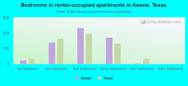 Bedrooms in renter-occupied apartments in Keene, Texas