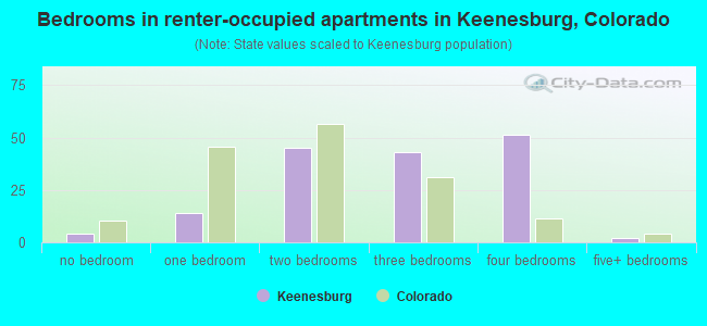 Bedrooms in renter-occupied apartments in Keenesburg, Colorado