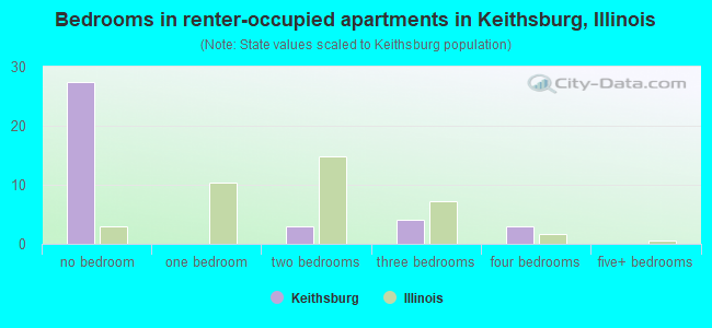 Bedrooms in renter-occupied apartments in Keithsburg, Illinois