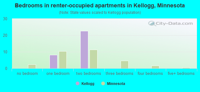 Bedrooms in renter-occupied apartments in Kellogg, Minnesota