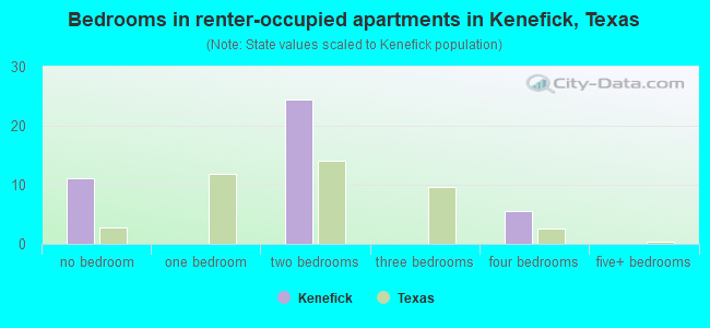 Bedrooms in renter-occupied apartments in Kenefick, Texas