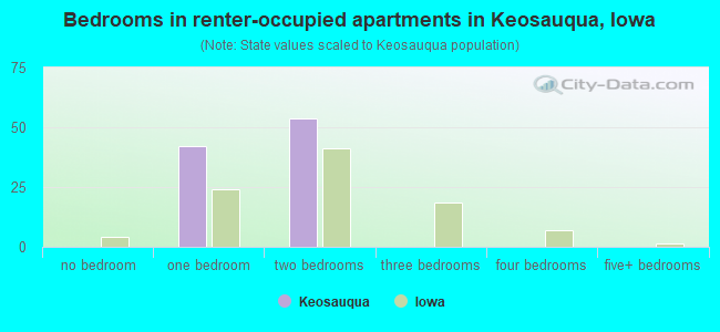 Bedrooms in renter-occupied apartments in Keosauqua, Iowa