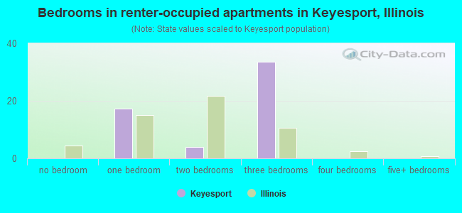 Bedrooms in renter-occupied apartments in Keyesport, Illinois
