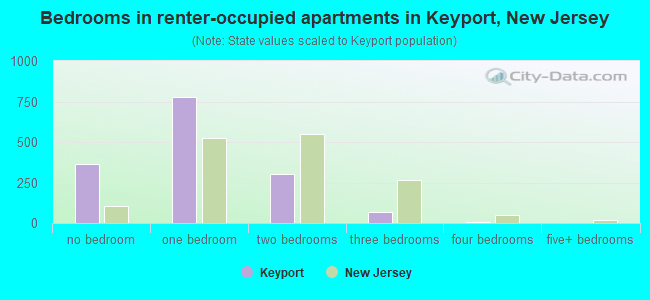 Bedrooms in renter-occupied apartments in Keyport, New Jersey