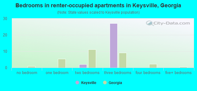 Bedrooms in renter-occupied apartments in Keysville, Georgia