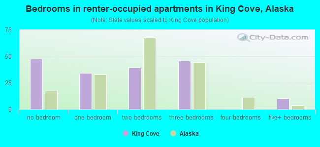 Bedrooms in renter-occupied apartments in King Cove, Alaska