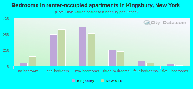 Bedrooms in renter-occupied apartments in Kingsbury, New York