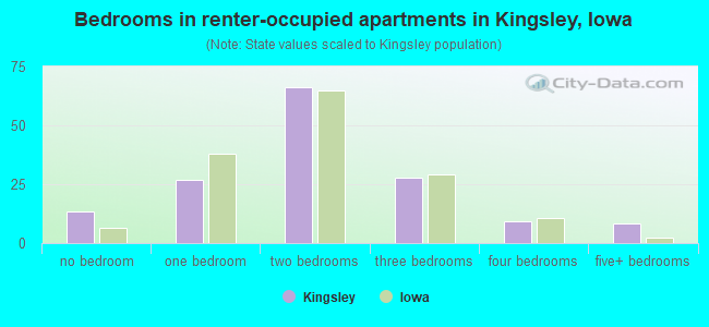 Bedrooms in renter-occupied apartments in Kingsley, Iowa