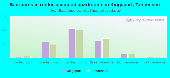 Bedrooms in renter-occupied apartments in Kingsport, Tennessee
