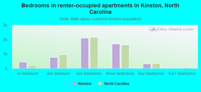 Bedrooms in renter-occupied apartments in Kinston, North Carolina