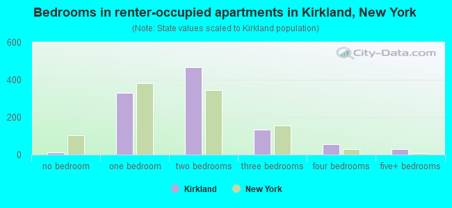 Bedrooms in renter-occupied apartments in Kirkland, New York