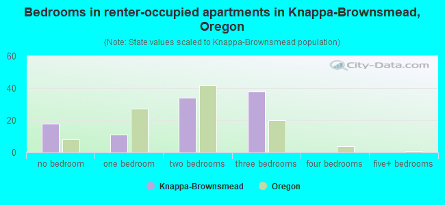 Bedrooms in renter-occupied apartments in Knappa-Brownsmead, Oregon