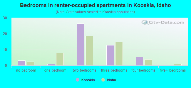 Bedrooms in renter-occupied apartments in Kooskia, Idaho