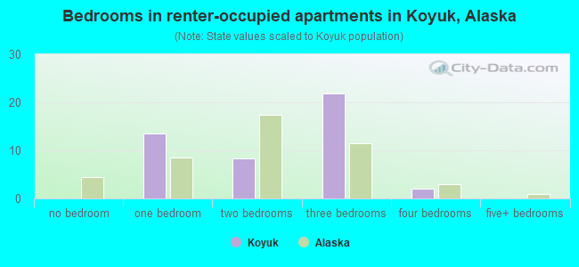 Bedrooms in renter-occupied apartments in Koyuk, Alaska