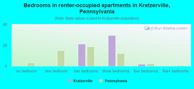 Bedrooms in renter-occupied apartments in Kratzerville, Pennsylvania