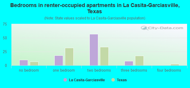 Bedrooms in renter-occupied apartments in La Casita-Garciasville, Texas