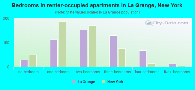 Bedrooms in renter-occupied apartments in La Grange, New York