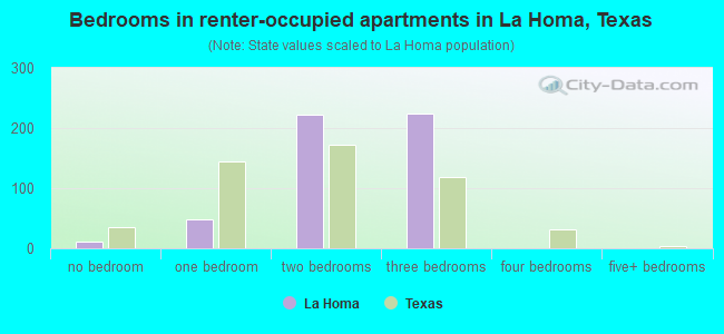 Bedrooms in renter-occupied apartments in La Homa, Texas