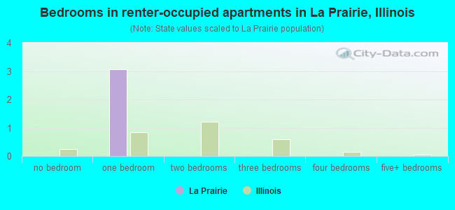 Bedrooms in renter-occupied apartments in La Prairie, Illinois