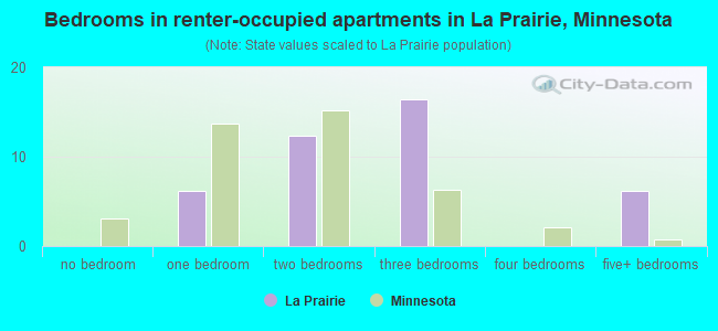 Bedrooms in renter-occupied apartments in La Prairie, Minnesota