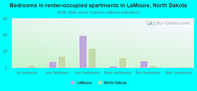 Bedrooms in renter-occupied apartments in LaMoure, North Dakota