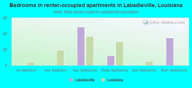 Bedrooms in renter-occupied apartments in Labadieville, Louisiana