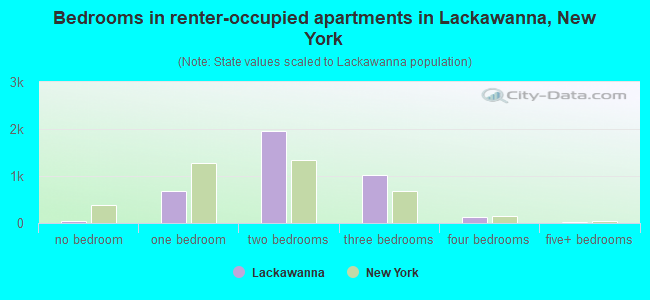 Bedrooms in renter-occupied apartments in Lackawanna, New York